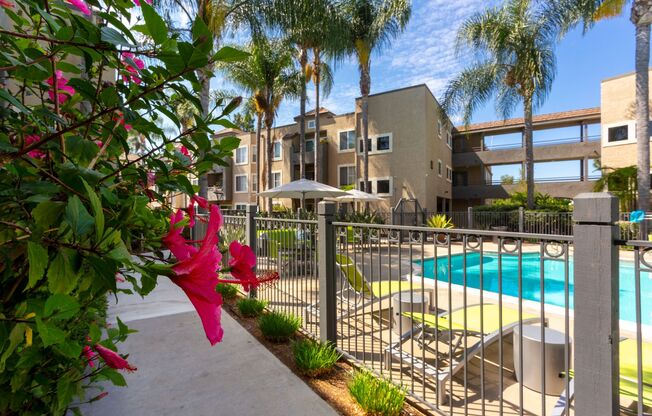 2 beds, 2 baths, 954 sqft, $2,895, Unit 202