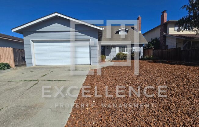 2 Story 4/2 + Office, Hwf, Pets Negotiable, Walk to Park - AVAILABLE AUGUST 15TH