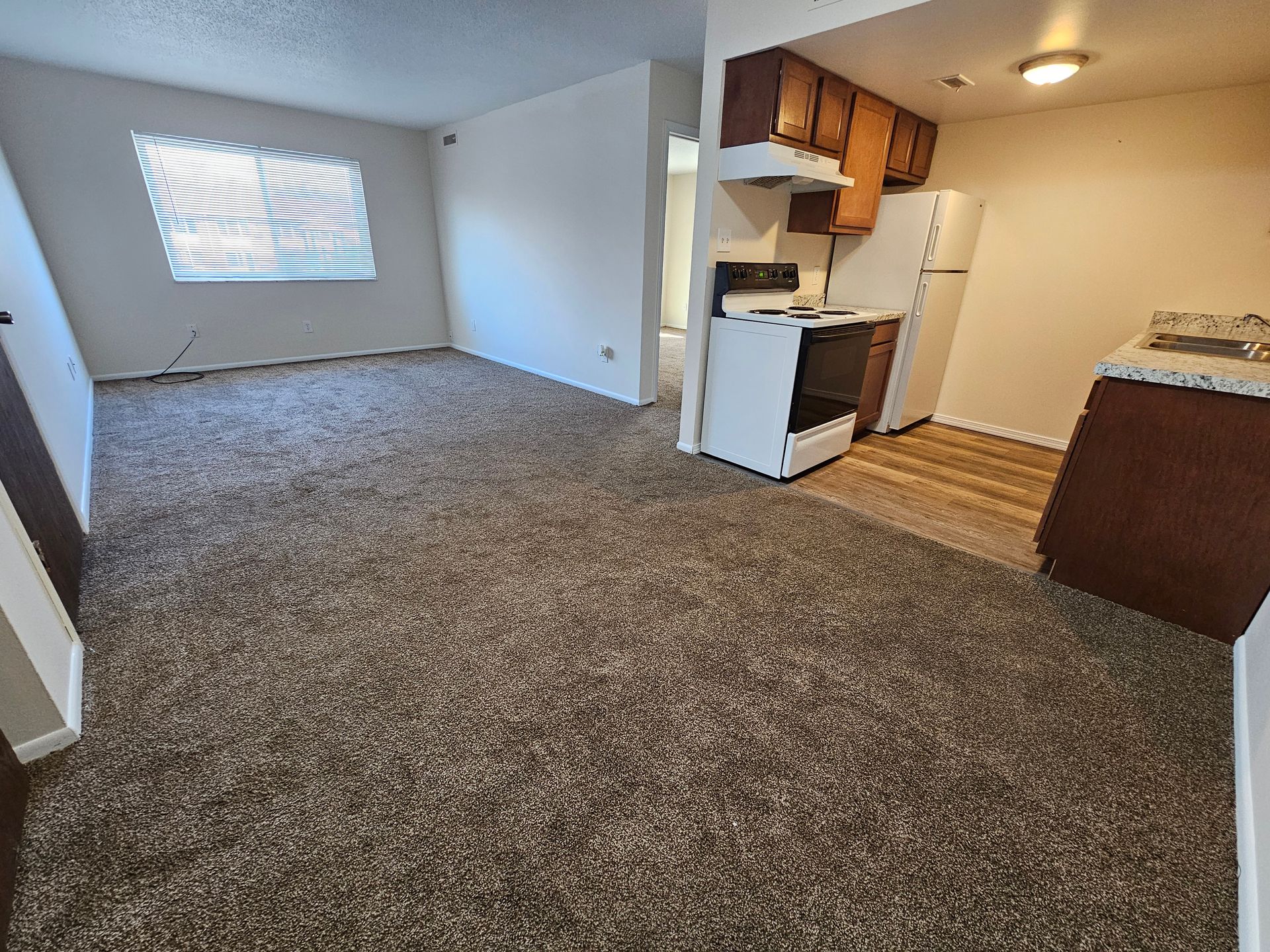 Remodeled 1 bedroom in Washington Local