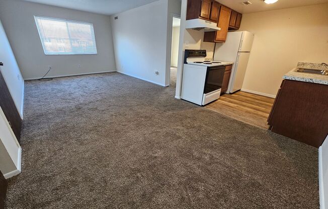 Remodeled 1 bedroom in Washington Local