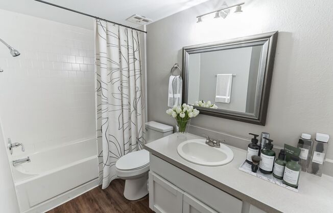 Studio, 1 bath, 420 sqft, $799, Unit 4