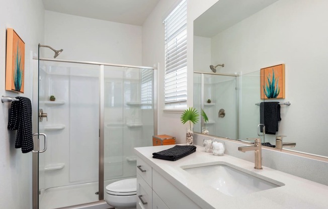 a bathroom with a sink and a shower and a mirror