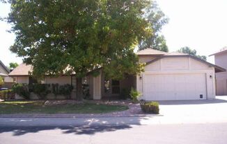 Private Pool in Chandler