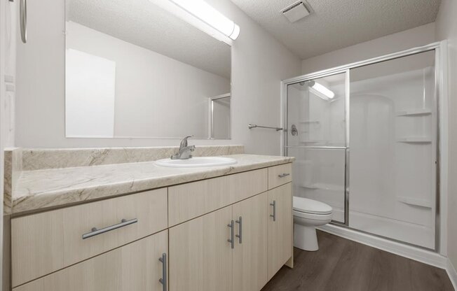 A bathroom with a sink, mirror, and toilet.
