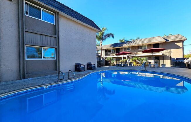 Studio, 1 bath, $1,495, Unit 41