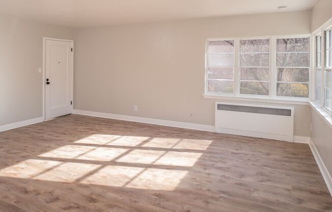 Studio, 1 bath, $1,300, Unit A1