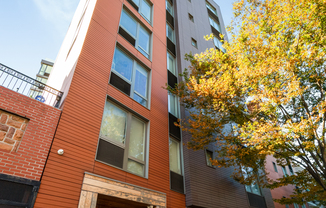 1 bed, 1 bath, $4,332, Unit 8B