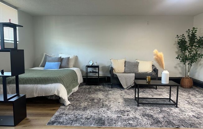 Studio, 1 bath, 450 sqft, $845, Unit 262-2