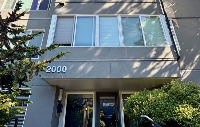 Bright and Spacious 1-Bedroom on the Magnolia/Interbay Border
