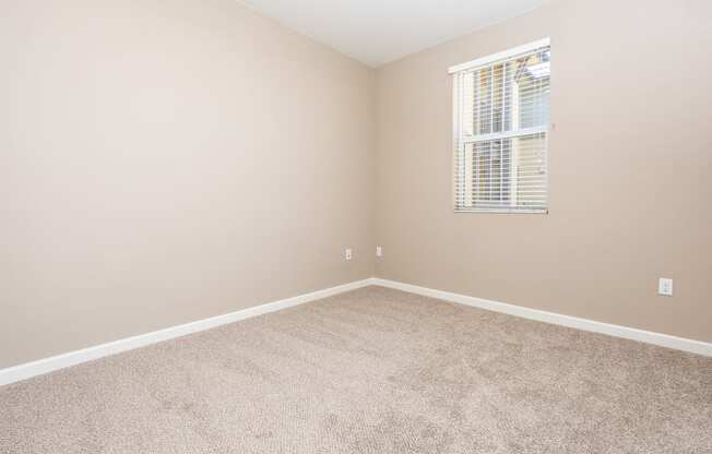 a bedroom with beige carpet and a window
