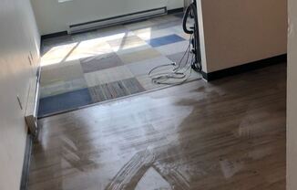 Move in Ready!