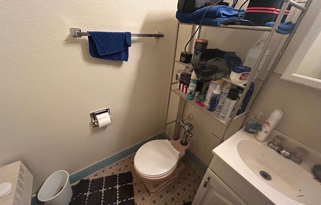 1 bed, 1 bath, $875, Unit 310