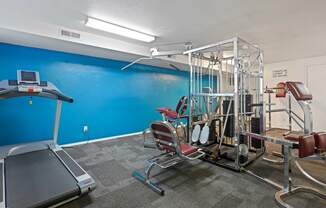 our gym is equipped with cardio equipment and weights for a cardio workout