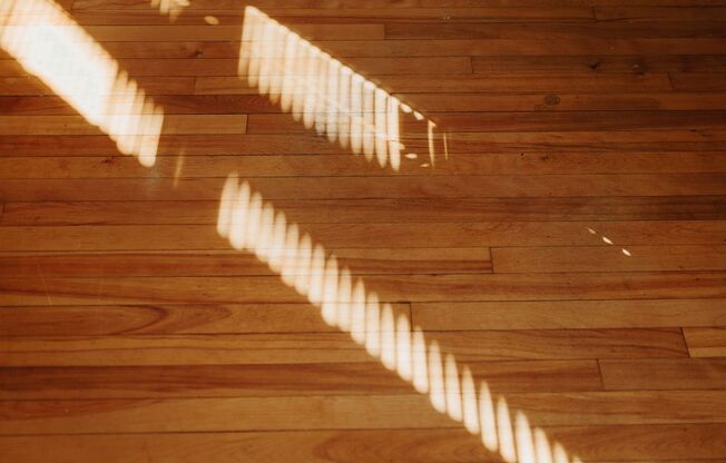 2 beds, 1 bath, 901 sqft, $1,225, Unit 307-42