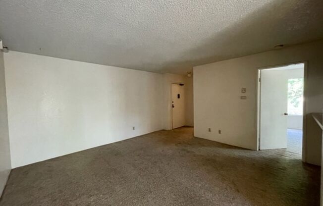 1 bed, 1 bath, $1,895