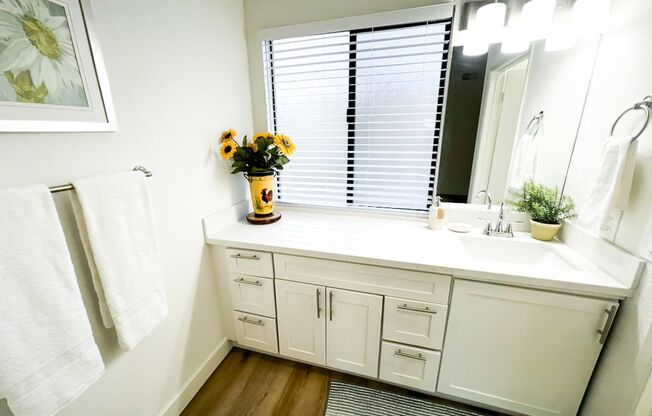 1 bed, 1 bath, 620 sqft, $2,095, Unit 0118