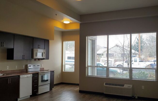 Studio, 1 bath, 460 sqft, $1,200, Unit 2-106W