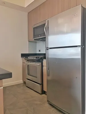 Studio, 1 bath, $4,300, Unit 22J