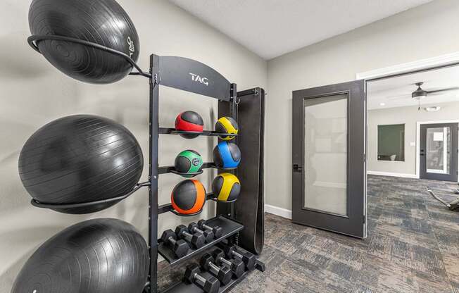 A black exercise ball is hanging on a rack in a room.