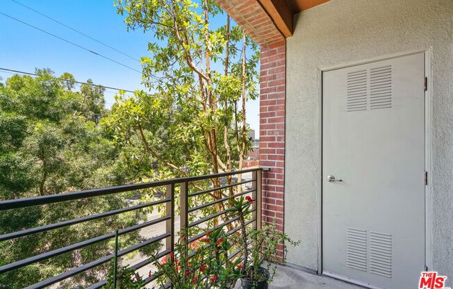 1 bed, 1 bath, 910 sqft, $2,900, Unit 355