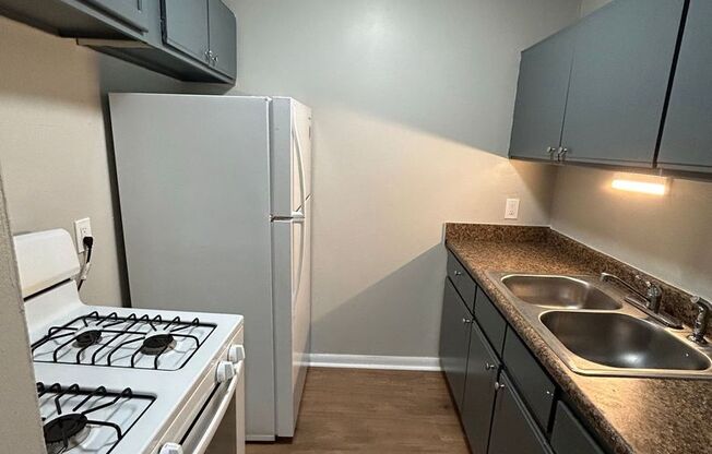 1 bed, 1 bath, 800 sqft, $750, Unit 1315 #16