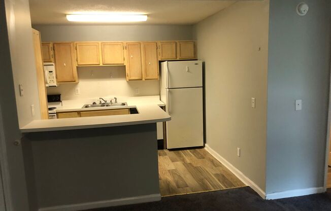 2 beds, 1 bath, 1,000 sqft, $925