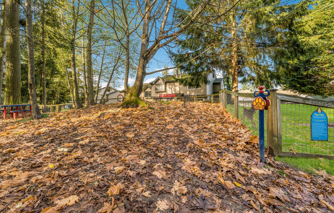 Dog Park at Arcadia Townhomes, Federal Way, Washington