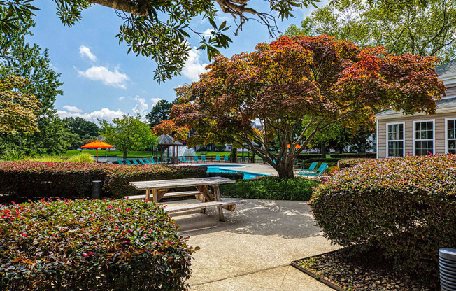 Picnic area at Latitudes Apartments in Virginia Beach VA 23454