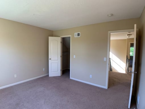 Photo of carpeted room with large closet