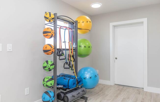 A modern home gym setup featuring a rack with various colorful exercise balls (orange, green, blue, black, and yellow) and resistance bands. A blue exercise mat is also visible on the floor, alongside a gray machine, all situated in a bright, minimalist room with a white door.