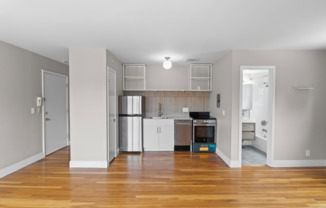 $250 OFF SPECIAL!  Gorgeously Renovated Studios Available in Hyde Park