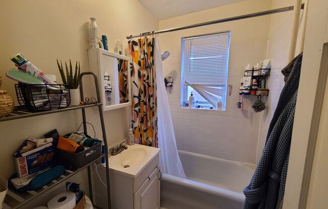 1 bed, 1 bath, $2,450, Unit 12