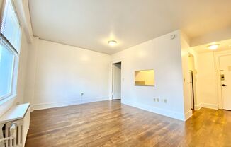 Studio, 1 bath, 330 sqft, $1,150, Unit 403