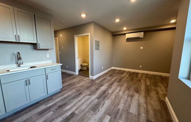 Studio, 1 bath, 380 sqft, $2,100, Unit 515