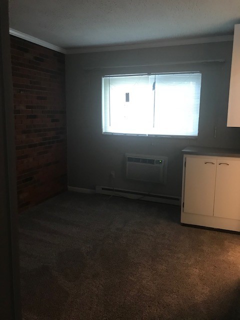 1 bed, 1 bath, 458 sqft, $800, Unit Apt. 5