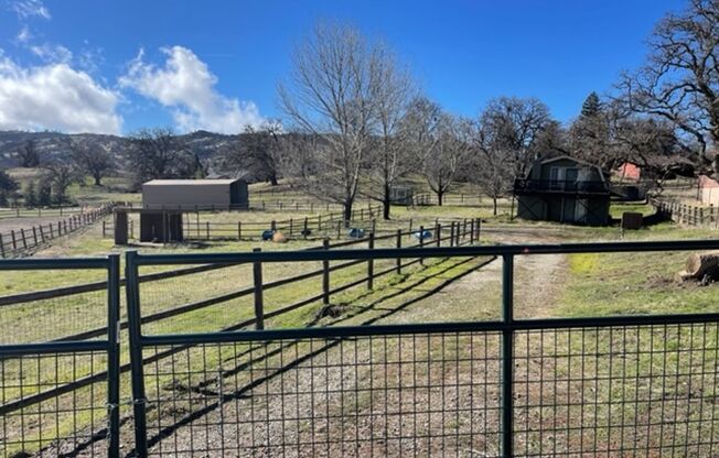 BEAR VALLEY - READY NOW - FULLY FURNISHED - HORSE PROPERTY WITH FENCED CORRALS