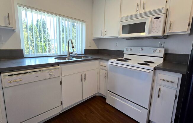 Studio, 1 bath, 600 sqft, $2,498, Unit 201