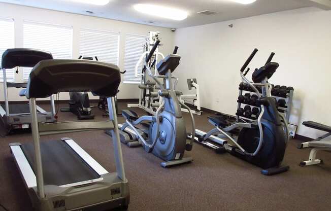 a gym with a lot of exercise equipment