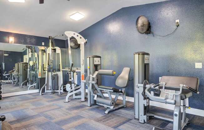 A gym with a variety of equipment including a leg press machine, a chest press machine, and a squat rack.