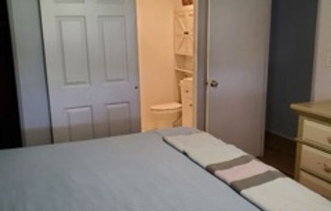 1 bed, 1 bath, $1,600