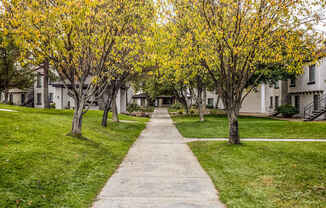 a tree lined sidewalk in front of some houses