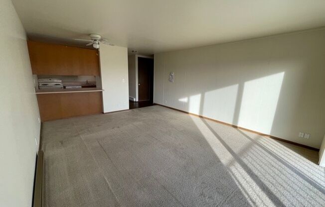 1 bed, 1 bath, 780 sqft, $1,890, Unit 203