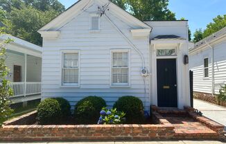 Charming Updated Home in Downtown Charleston