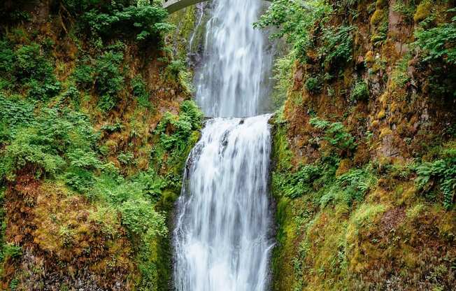 The Byway | Close Proximity to Multnomah Falls