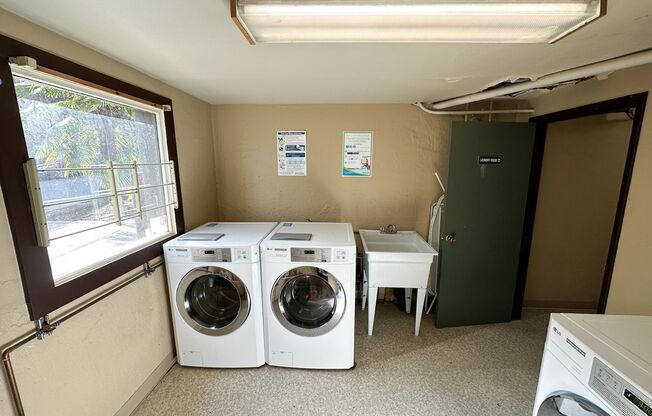 1 bed, 1 bath, 505 sqft, $1,495, Unit 19