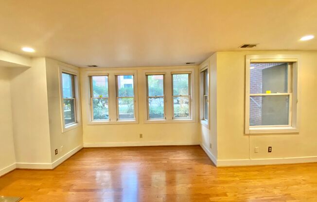 Dupont Circle 1 Bedroom Charmer with Patio, Fireplace, Central Air, Washer/Dryer!