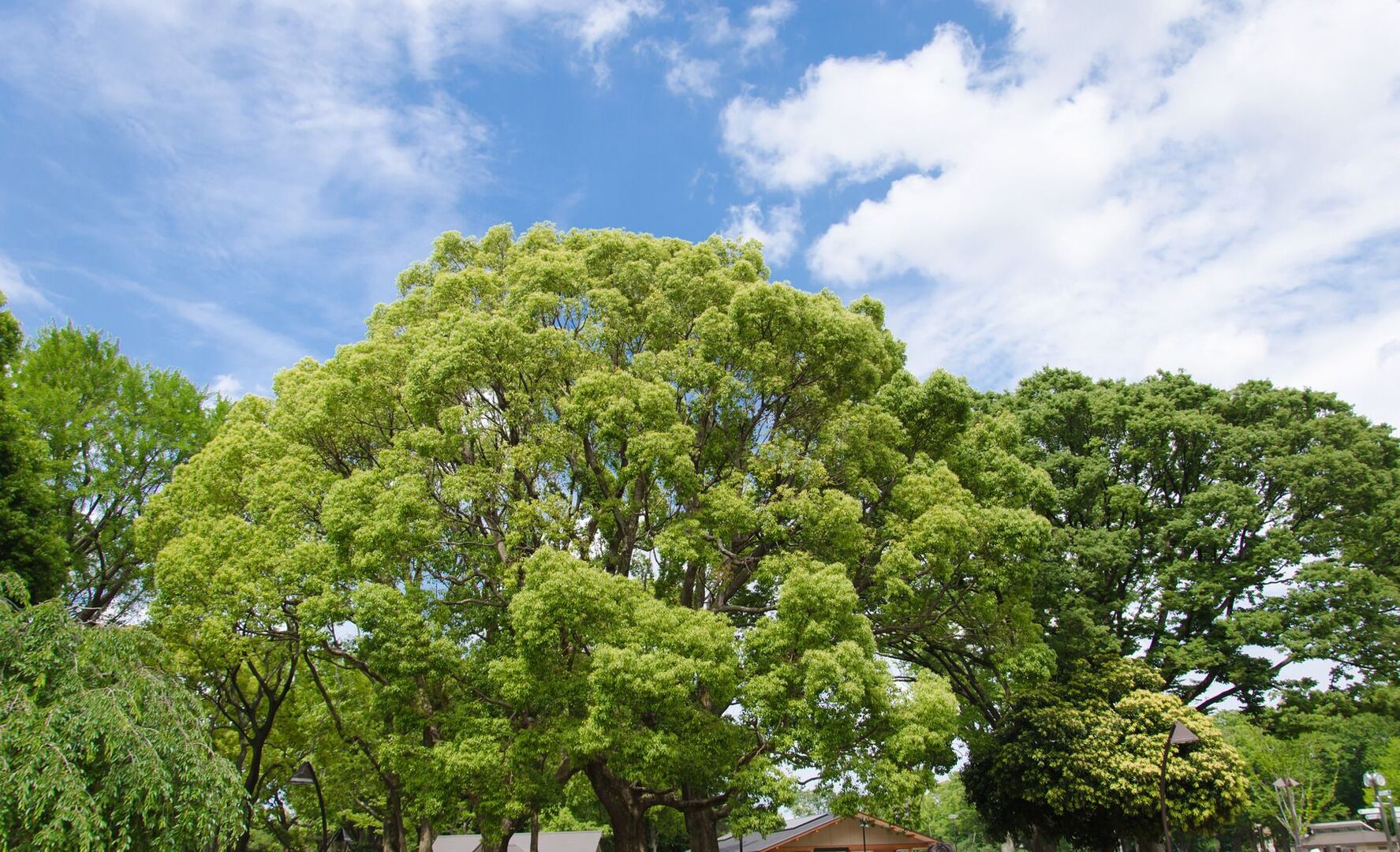 West Park Apartments