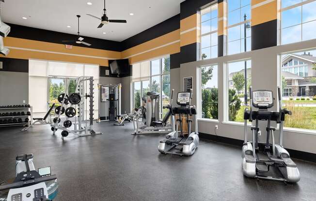 The Haven at Shoal Creek - 24-hour fitness center