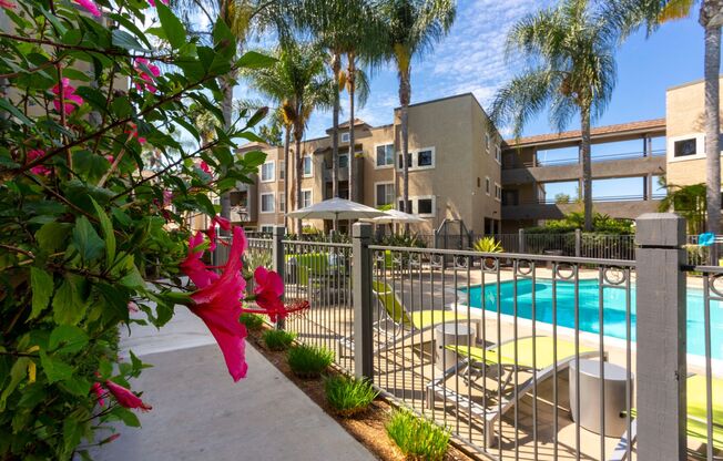 2 beds, 2 baths, 965 sqft, $2,995, Unit 243