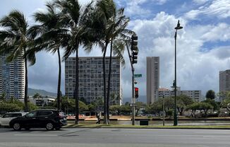 1 bed, 1 bath, $2,500